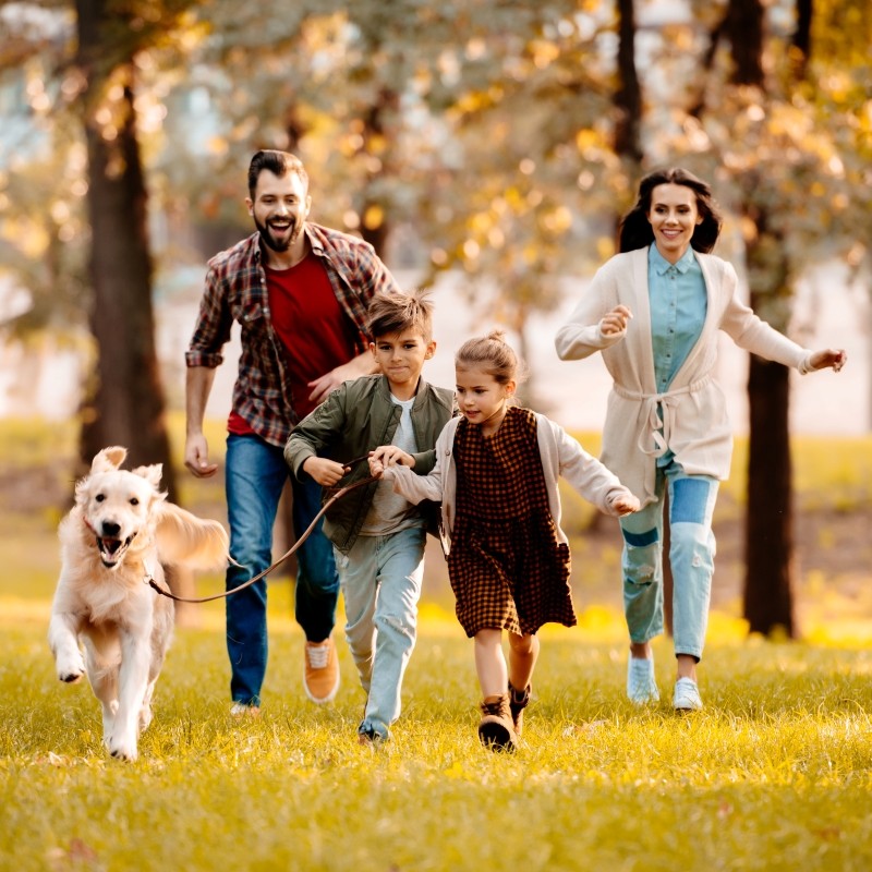 我们的股东-工银安盛人寿（ICBC-AXA）